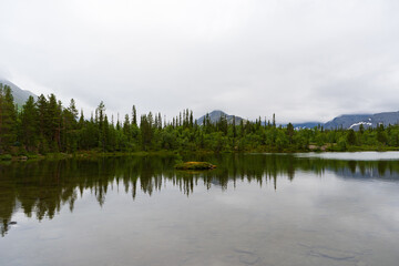 Tranquil forest lake