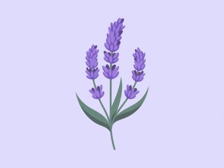 Fototapeta premium Lavender Flower Illustration on a Soft Light Blue Background