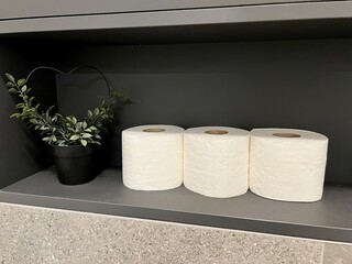 Three rolls of toilet paper neatly placed on a shelf beside an artificial plant. Captures themes of hygiene and bathroom decor. Horizontal photo with a dark background for contrast.