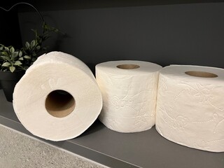 A few rolls of toilet paper on a shelf in the toilet against a dark background. Simple bathroom essentials arranged neatly, emphasizing hygiene and everyday practicality