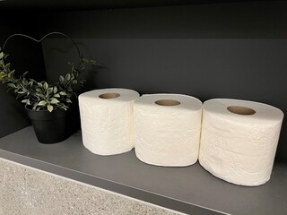 Toilet paper rolls lined up on a shelf in the bathroom next to an artificial flower. A simple and clean composition, perfect for hygiene, organization, or home decor themes. Vertical photography.