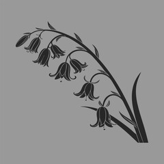 bluebell flower silhouette vector design art and illustration