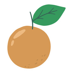 Fresh orange fruit illustration
