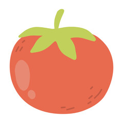 Red tomato vector illustration