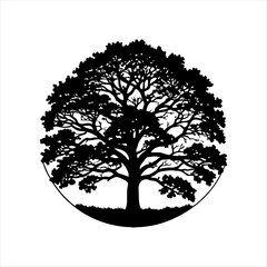 "Majestic Oak Tree Silhouette at Sunset, vector image