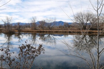 Winter swamps and Rocky Mountains, Colorado