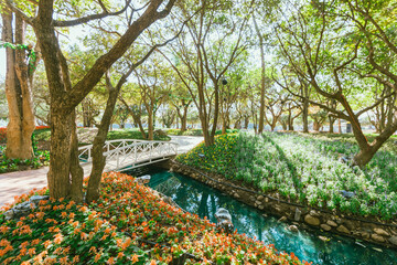 the flower and garden decoration