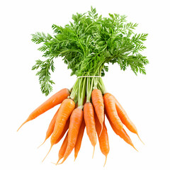 Fresh Organic Carrots Bunch with Healthy Greens on White Background