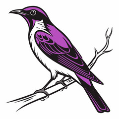 Violet-backed Starling vector silhouette black design white background