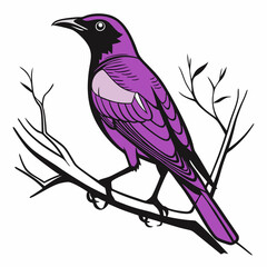 Violet-backed Starling vector silhouette black design white background