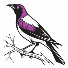 Obraz premium Violet-backed Starling vector silhouette black design white background