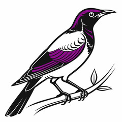 Violet-backed Starling vector silhouette black design white background