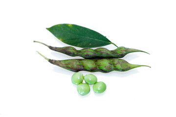 Pigeon pea crop field, pigeon pea or tuvar beans isolated on white background
