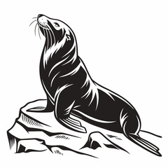 Weddell Seal vector silhouette black design white background