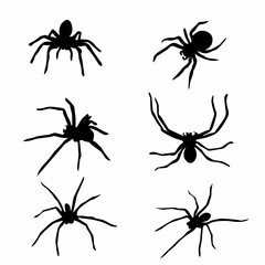 Set of spider silhouettes Vector illustration isolated on white background