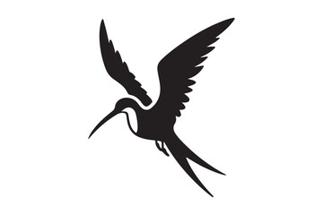 Detailed Silhouette of Frigate Bird Soaring in the Sky