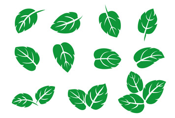 set of mint leaf vector illustration. isolated on white background. Vector eps 10. perfect for wallpaper or design elements © isoon