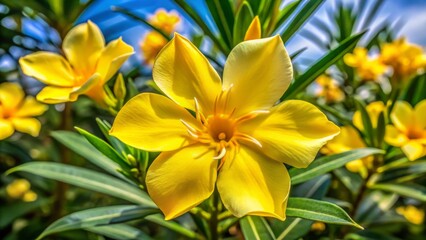 Yellow Oleander Flower, Nerium Oleander Apocynaceae, Rose Bay, Sweet Oleander, Beautiful Blooms, Eye-Level Close-Up