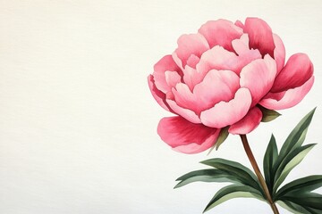A stunning pink peony flower representing beauty and elegance, ideal for floral design and nature-themed projects.