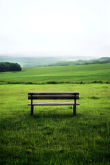 Tranquil Solitude: Wooden Bench Amidst Verdant Sea of Lush Greenery