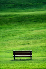 Tranquil Solitude: Wooden Bench Amidst Verdant Sea of Lush Greenery