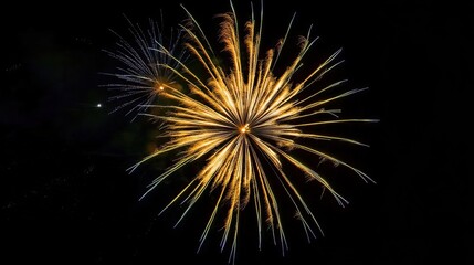 Obraz premium Spectacular fireworks in a dark sky, HD detail, clean black and blue tones, New Year's atmosphere, golden flowers, dazzling starry nights, various shapes, high-contrast film quality
