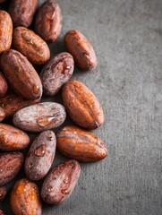 Obraz premium A close-up of cacao beans, showcasing their rich colors and textures against a muted background.