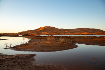 Merzouga sanddunes in the Erg Chebby desert in Morocco after heavy rainfall