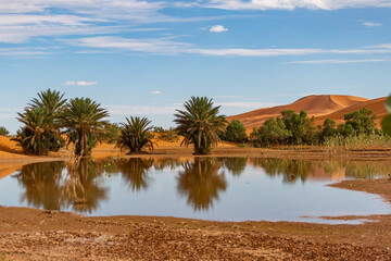 Merzouga sanddunes in the Erg Chebby desert in Morocco after heavy rainfall