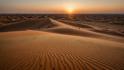 Naklejka premium sunset in the desert