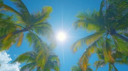Tropical palm trees under a vibrant blue sky, sun shining brightly through leaves.