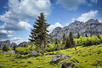 View of the Kampenwand in the Bavarian Alps