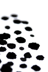 Black Messy Creative Ink Splatters Blots and Blobs  and Inkblot Close Up on White Background