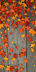 Fototapeta premium Crimson, gold, and orange maple leaves scattered on rustic wood, surface,backdrop