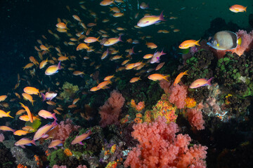 カラフルな海