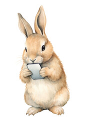 Obraz premium PNG Rabbit animal rodent mammal.