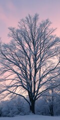 Snow-laden branches of a majestic tree silhouetted against a twilight sky, snowflakes falling, rural, artwork, white