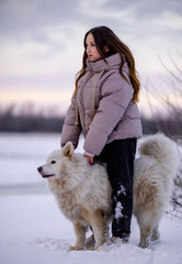 A girl walks with her beloved pet Samoyed in winter on the shore of a lake in the park.