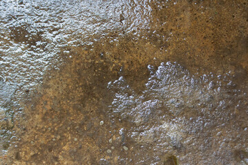 Puddle of Water on Rough Textured Concrete Floor