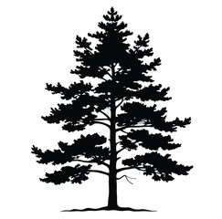 Silhouette Pine Tree, Vector Illustration