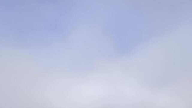Although fog covers the sky some of the blue sky is visible