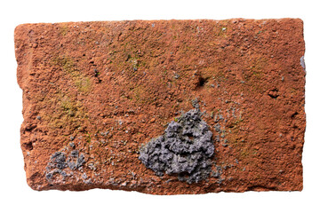 Single Red Brick Isolated on Transparent Background
