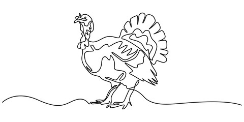 turkey bird single line drawing vector, turkey, poultry, bird one line art. Continuous line drawing of farm, nature, agriculture, farm animals, rural life, ranch, turkey in continuous line drawing.