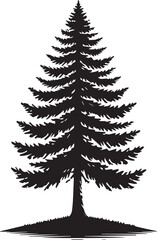 Obraz premium Pine tree silhouette
