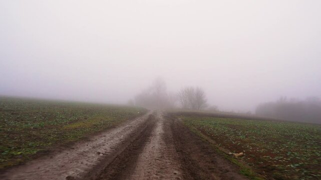 View from the rear window of a car onto a dirty country road. Off-road driving among fields. Wet country road in fog. 