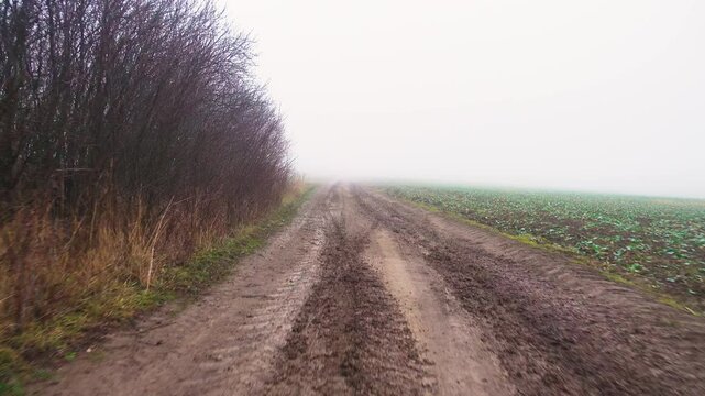 View from the rear window of a car onto a dirty country road. Off-road driving among fields. Wet country road in fog. 