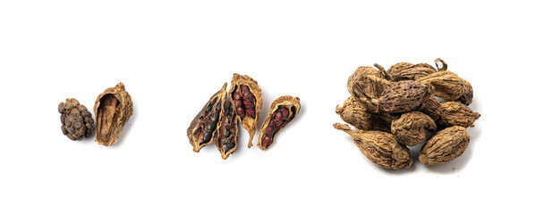 Black Cardamom Seeds Isolated, Brown Cardamon, Dry Kardamon Fruits, Cardamum Spice, Cardamomum