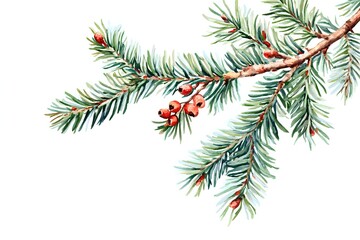 Obraz premium Watercolor Evergreen Branch with Berries: Botanical Painting Tutorial for Beginners