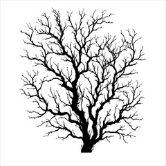 Branches silhouette dead tree silhouette vector. Scary dead tree silhouette illustration