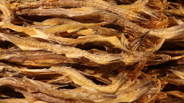 Dried Bombay Duck Or Bombil Fresh Fish or loittya close up footage. Dried seafood concept.
